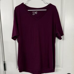 Terra & Sky Deep Purple V-Neck Top